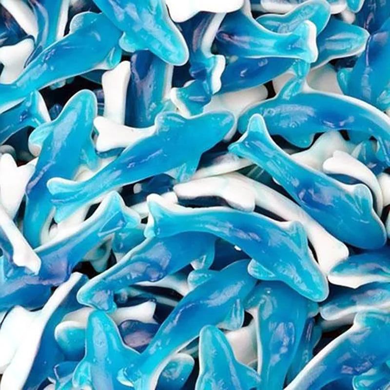 Big Blue Dolphins.jpg